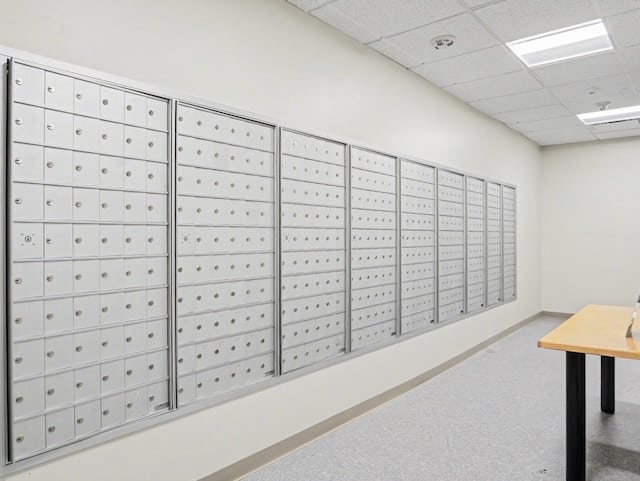 Rows of closed metal mailboxes line a clean white wall in a brightly lit mailroom.
