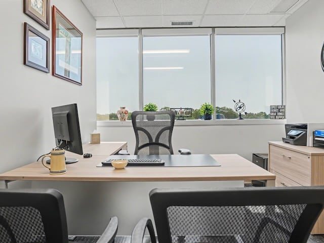 Modern office with desk, chair, computer, mug, decor, windows, and plants on the windowsill.